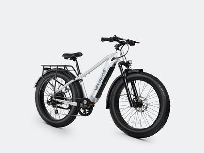 Ranger 3.0 Fat Tire All-Terrain Electric Bike