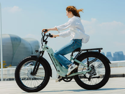 Ranger Step-Thru 3.0 Torque Sensor Electric Bike