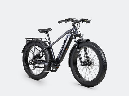 Ranger 3.0 Fat Tire All-Terrain Electric Bike