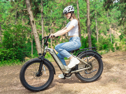 Ranger Step-Thru 2.0 Electric Bike