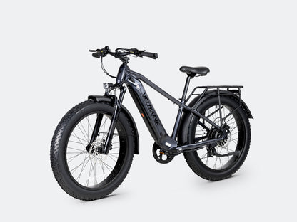 Ranger 3.0 Fat Tire All-Terrain Electric Bike