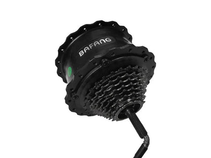 Motor for Ranger/Rover/Grace