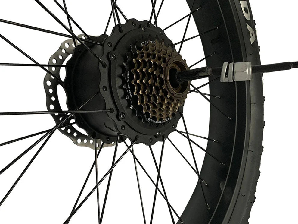 Rear Wheel with Motor & Disc Brake Rotor for Ranger/Rover Fat Tire Electric Bike