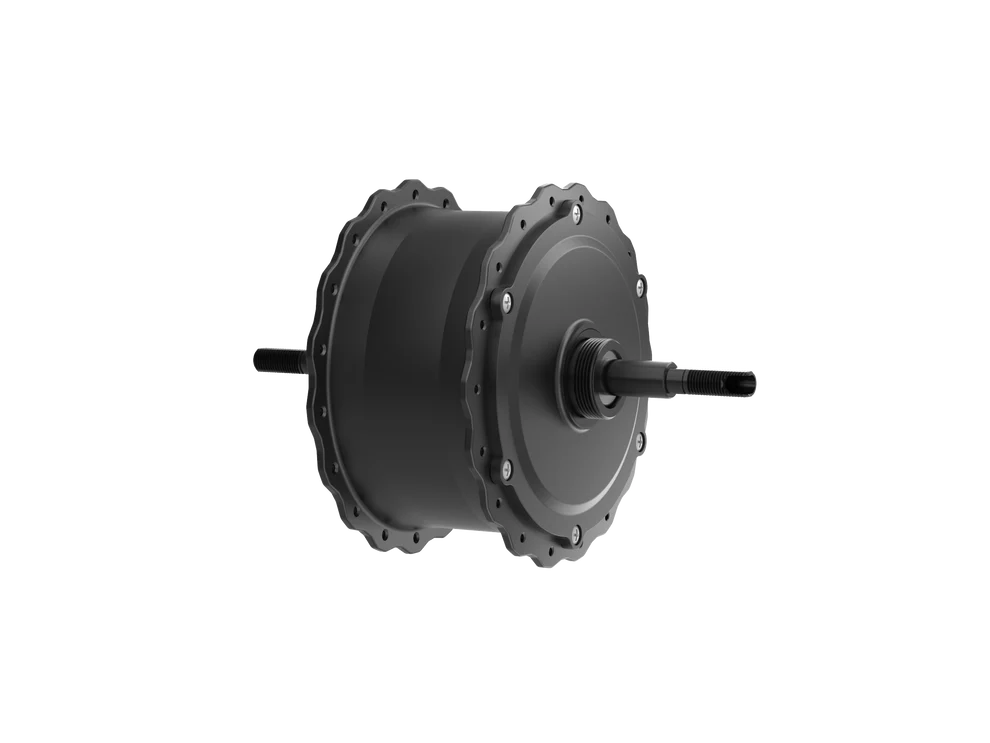Motor for Ranger Step-Thru 1.0