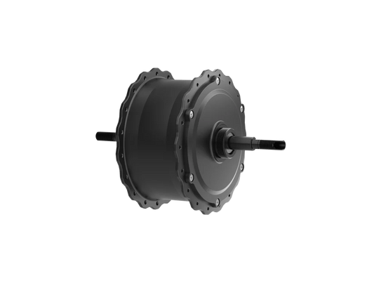 Motor for Ranger Step-Thru 1.0