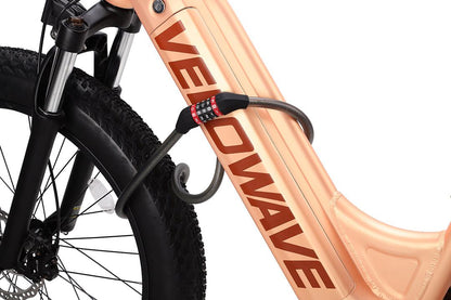 ANTI-THEFT COMBINATION LOCK FOR ALL E-BIKE MODELS - image03